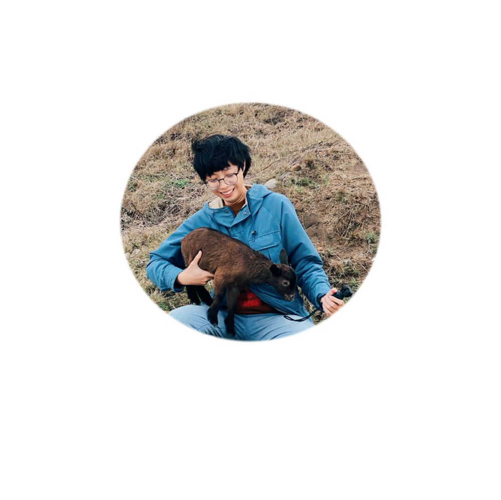 陳蔚慈
